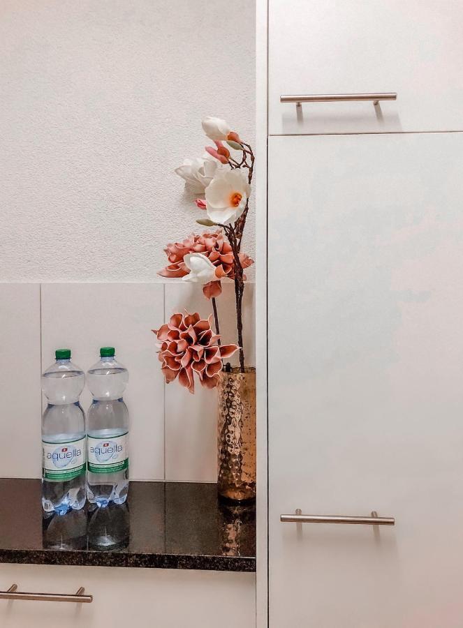 Apartment Studio In The Heart Of Zurich